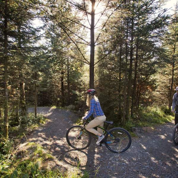 Davagh Forest Trails