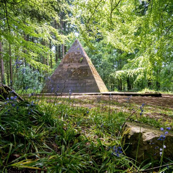 Garvagh Forest