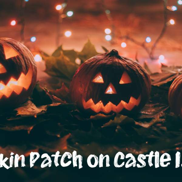 Pumpkin Patch Experience – Castle Island