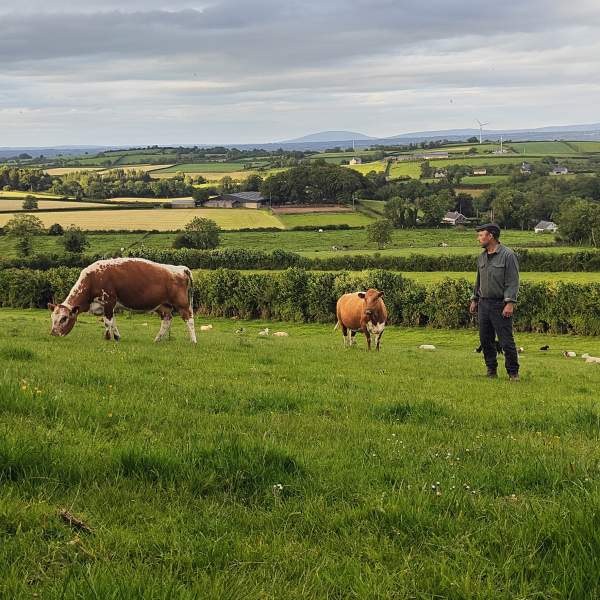 From the Bann Valley: Land, Cattle and Story Rare Cattle, Shared Traditions and the Atlantic Crossing