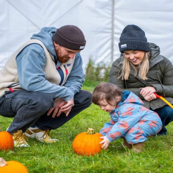 Streamvale's Halloween Pumpkin Patch 2026