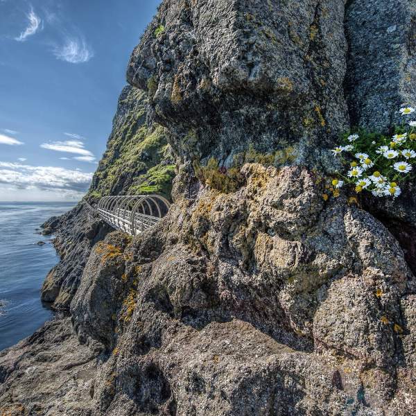 The Gobbins Cliff Path