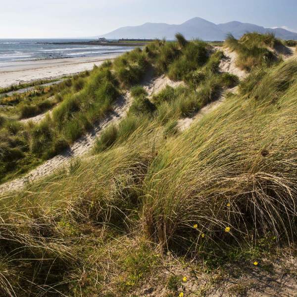 Tyrella Beach
