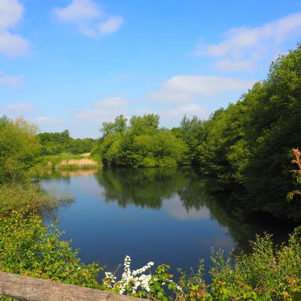 Fingringhoe Wick Nature Discovery Park