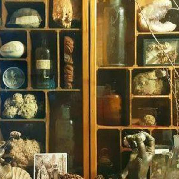 Heritage Open Days: The Temple-Cox Museum and Library