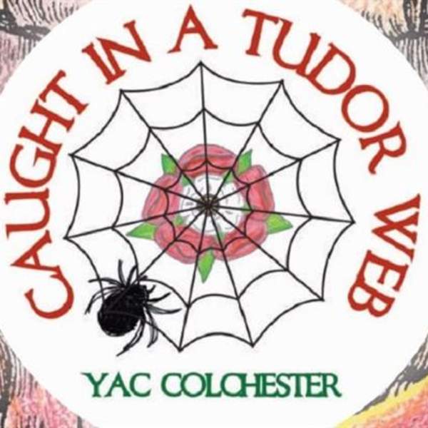 Caught In A Tudor Web