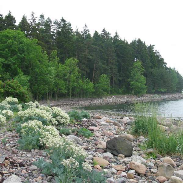 Vandretips: Vandring på Søndre Jeløy