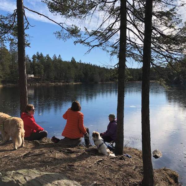 Fjella turområde