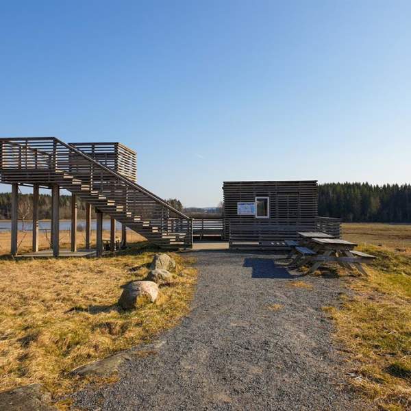 Fuglekikking: Dilleviktårnet