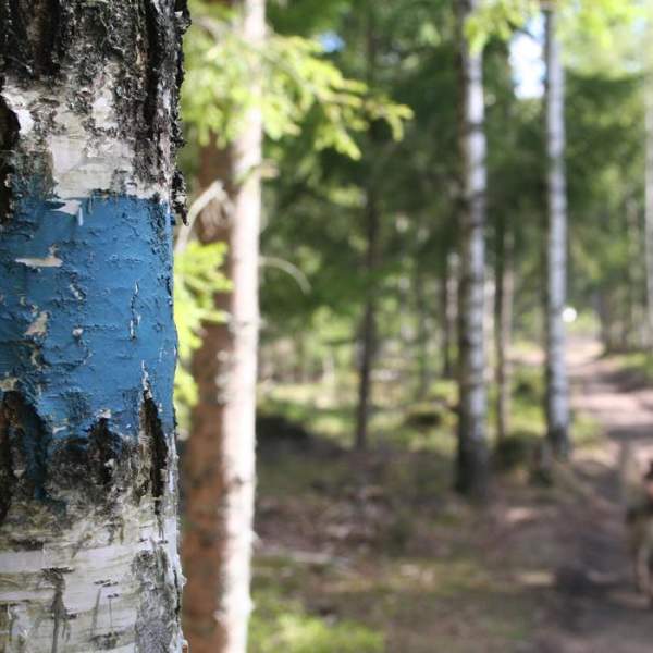Turperler: Skimtefjell, Spydeberg
