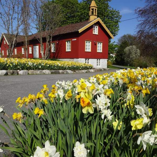 Dømmesmoen Grimstad