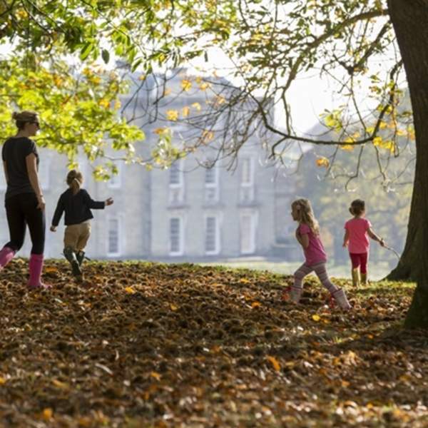 Hop into the Wild | Petworth House & Park