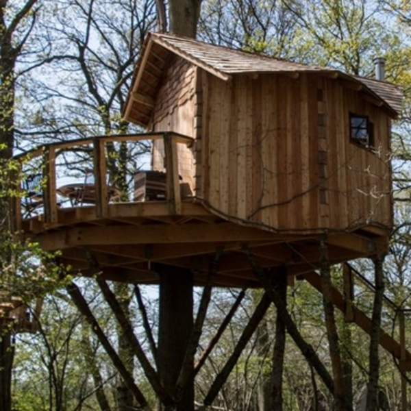 Knepp Camping