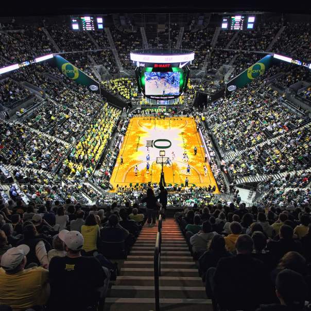 Matthew Knight Arena