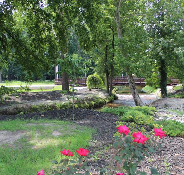 Festival Park