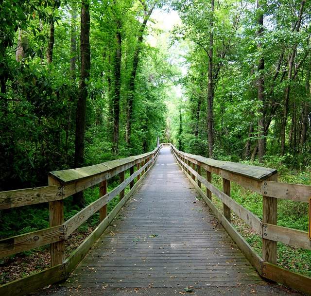 Cape Fear River Trail