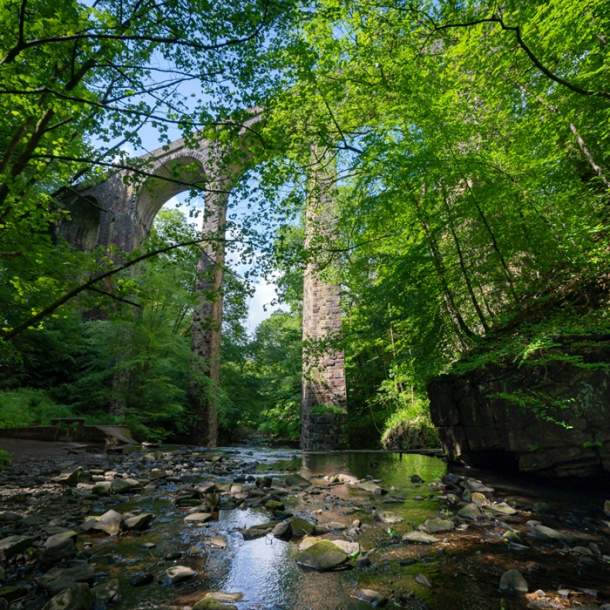 Healey Dell Nature Reserve