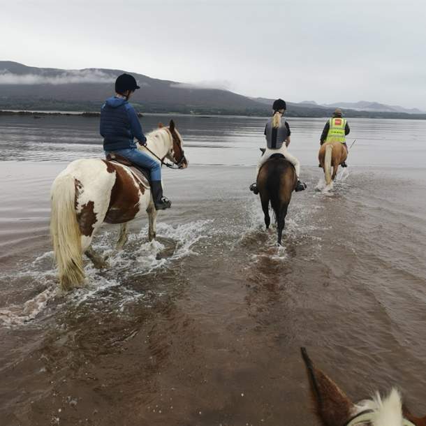 Dromquinna Stables