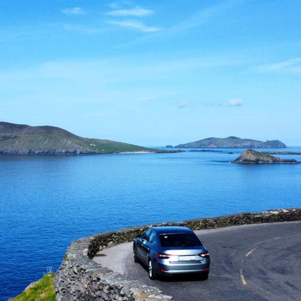 Steve's Peninsula Tours