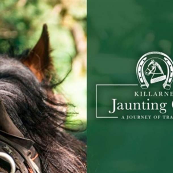 Killarney Jaunting Cars