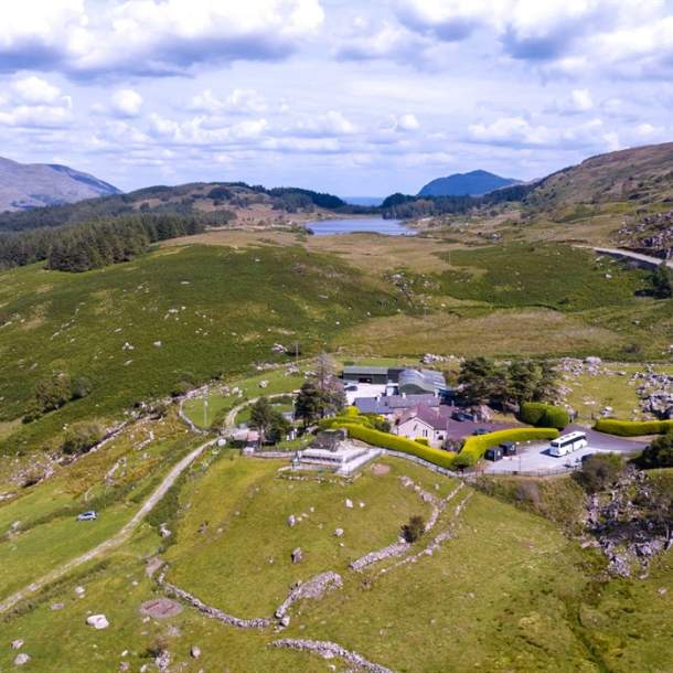 Kissane Sheep Farm