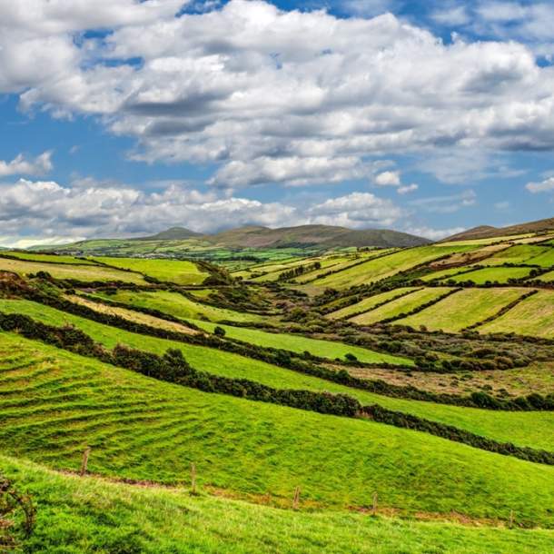 Dingle Slea Head Tours