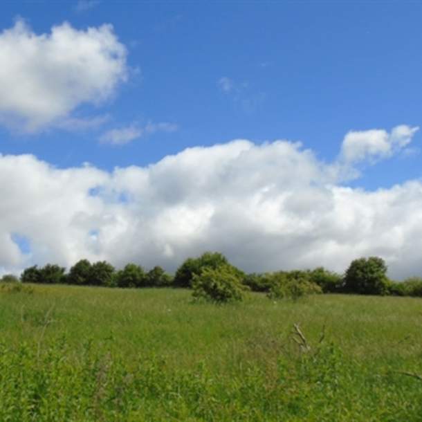 Wigwell Nature Reserve