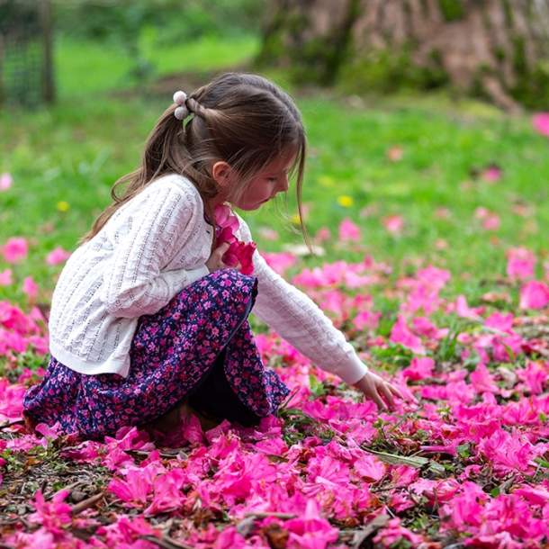Awakening Woods – family activities