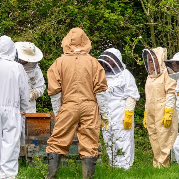 Beekeeping for Beginners course