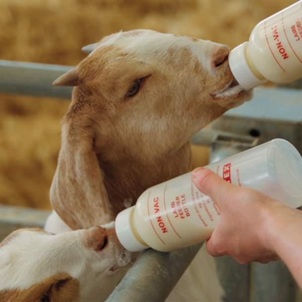 Adam Henson's Cotswold Farm Park