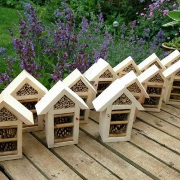 Build-a-Bug-House