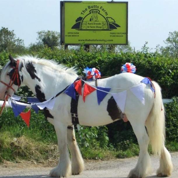 Butts Farm Visitor Centre and Farm Shop