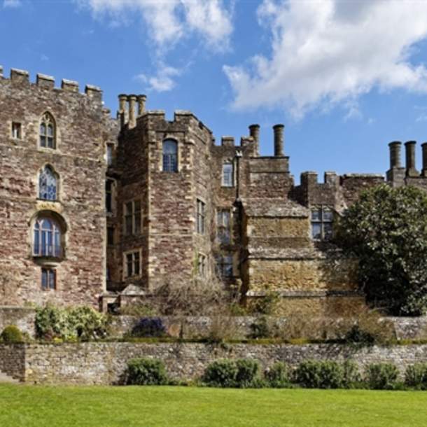 Berkeley Castle & Gardens