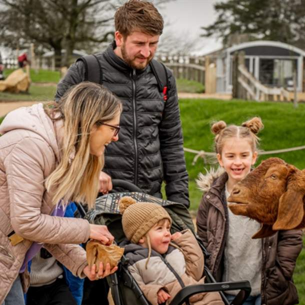 Adam Henson's Cotswold Farm Park