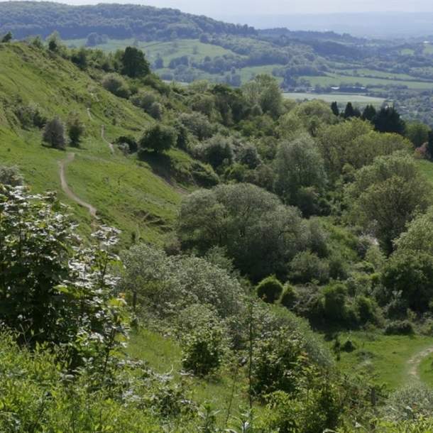 Crickley Hill Country Park