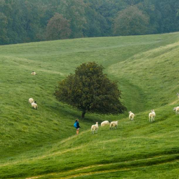Cotswold Walks