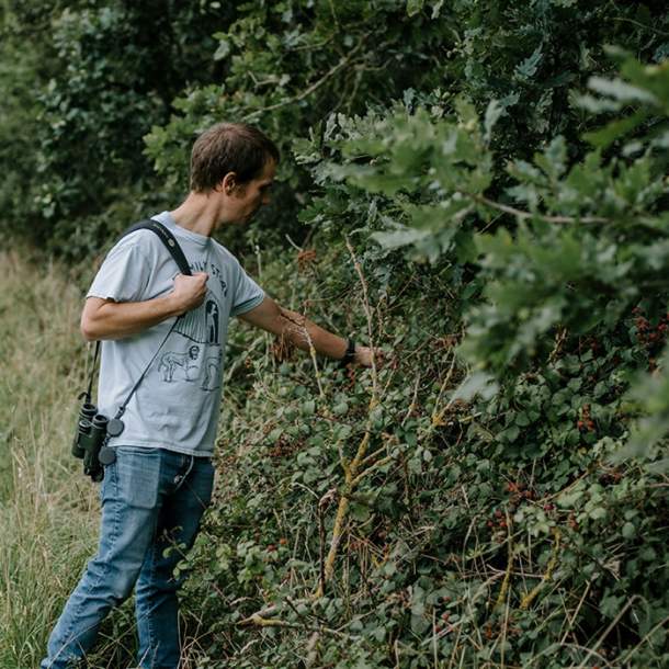 Foraging Farm Walk