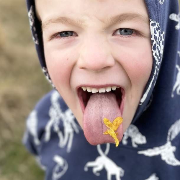 Family Fun Friday Foraging