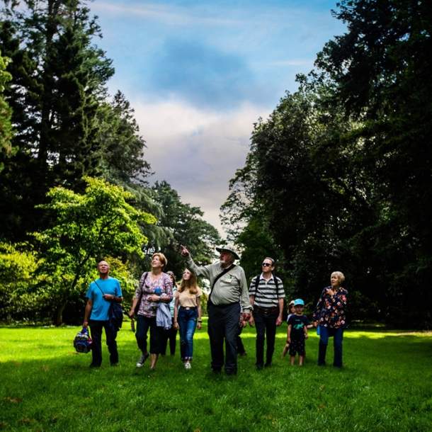 Seasonal guided walks at Westonbirt, The National Arboretum (Trade)