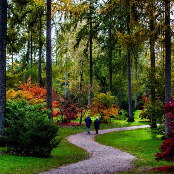 Westonbirt - The National Arboretum