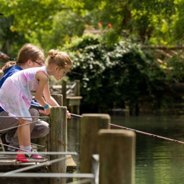 Bibury Trout Farm
