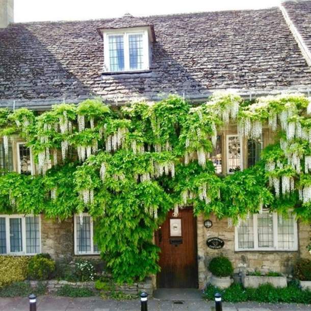 Manor Cottages