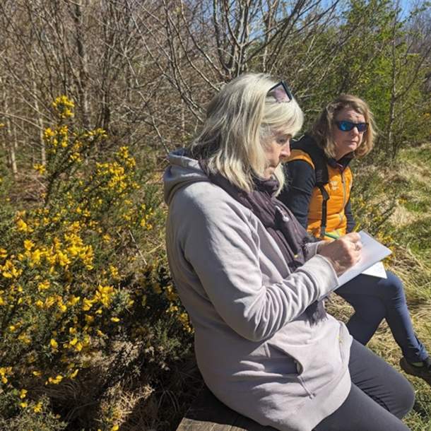 Nature Journaling