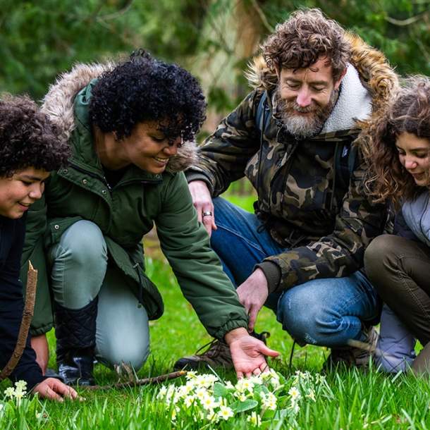 Spring family trail at Westonbirt Arboretum
