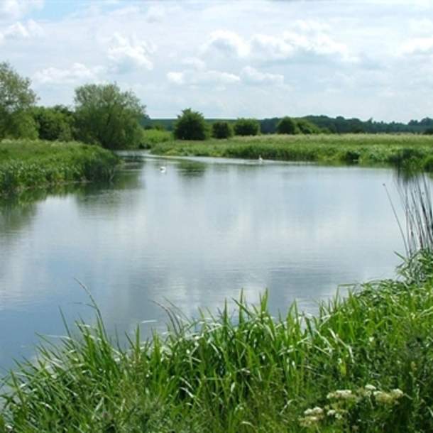 Chimney Meadows Nature Reserve