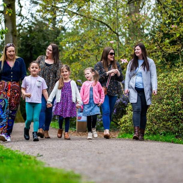 Wildlife walks - family event