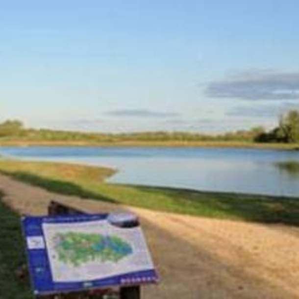 Rushy Common Nature Reserve