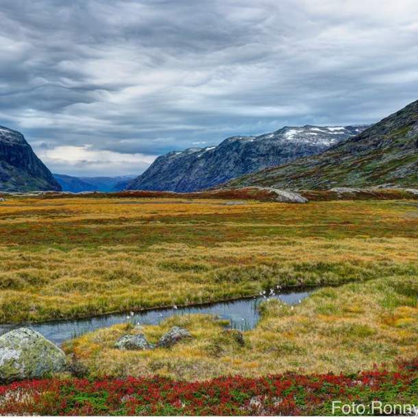 Breheimen National Park