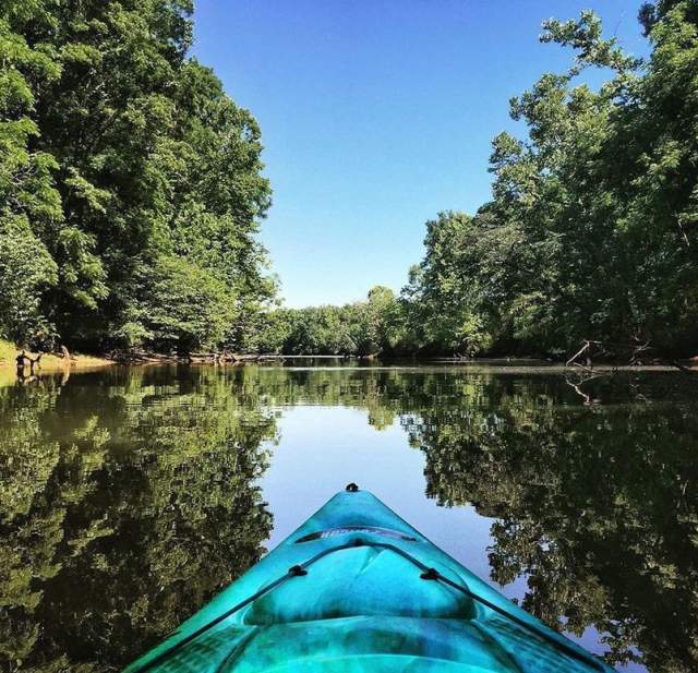 Cole Watkins Betty's Branch Kayak Tour