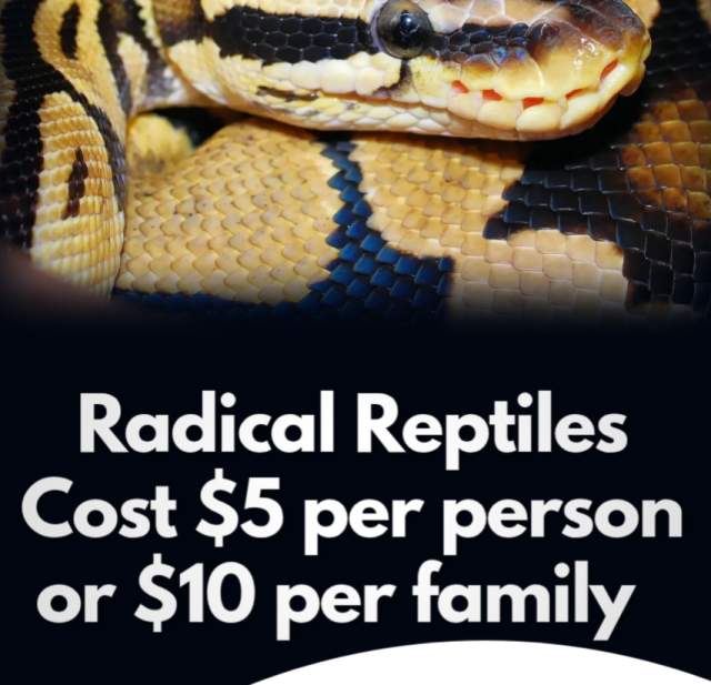 Radical Reptiles